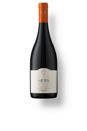 Vinho-Tinto-Bisquertt-La-Joya-Gran-Reserva-Syrah-2018