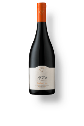 Vinho-Tinto-Bisquertt-La-Joya-Gran-Reserva-Pinot-Noir-2017