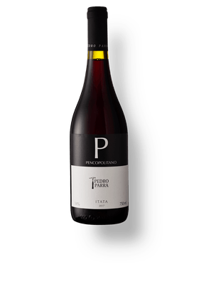 Vinho-Tinto-Pedro-Parra-Y-Familia-Pencopolitano-2018