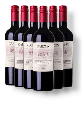 Kit-com-6-Vinhos-Tintos-Garzon-Estate-Cabernet-de-Corte-2018
